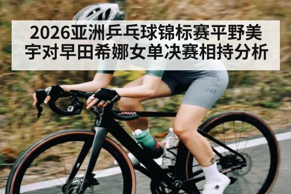 2026亚洲乒乓球锦标赛平野美宇对早田希娜女单决赛相持分析